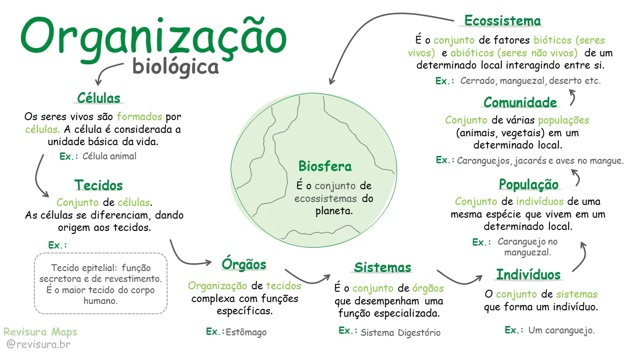 Amostras 2
